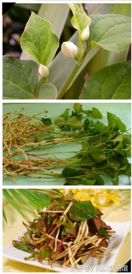 大别山深处的绝美山珍!