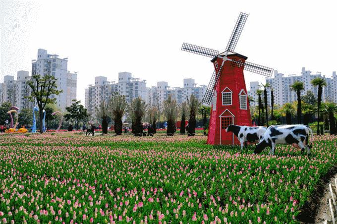 漫步上海魔都秋游的十个好去处,魔都最美的九大公园