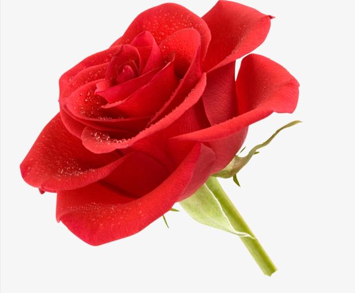 生肖蛇苦尽甘来财帛如雨富甲一方,生肖蛇未来10天喜事成双好运盈门