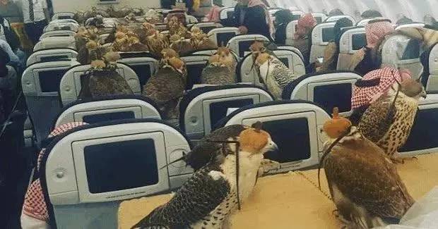 顶级豪车豪宅,豪宅豪车那么有吸引力吗