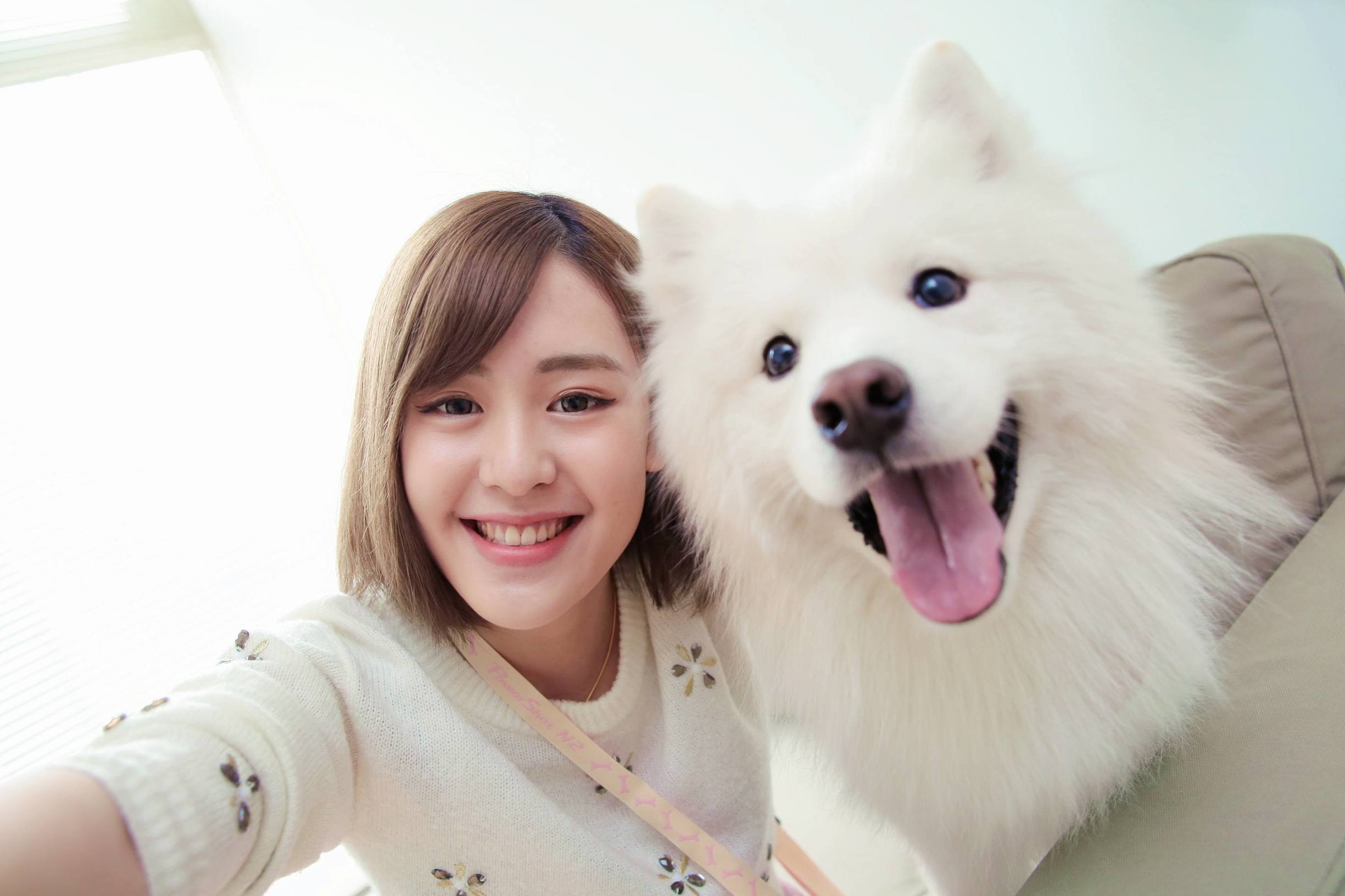 和田玉十大陷阱,和田玉的乱象是什么样的