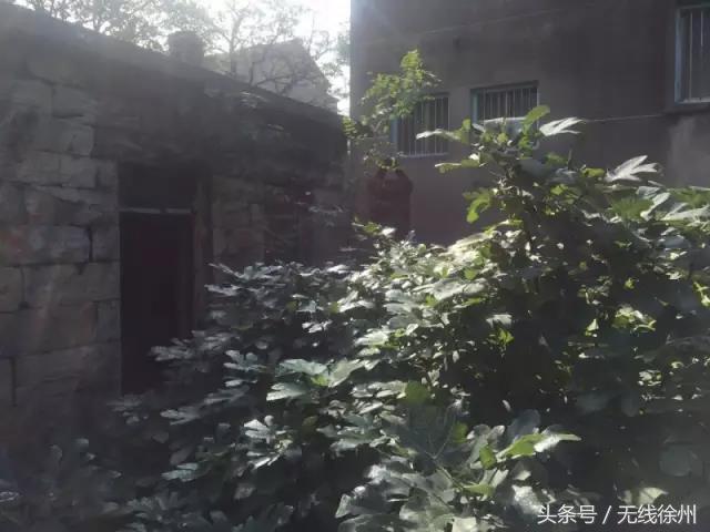 花爷的农村生活,花爷的乡间生活