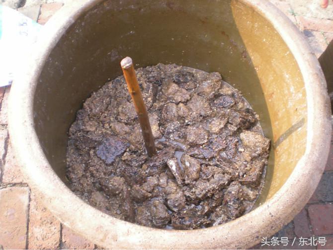正宗东北大酱教程,南方人尝试下东北大酱