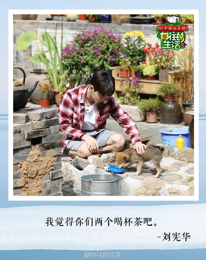 向往的生活我们来了,向往的生活我们来了图片