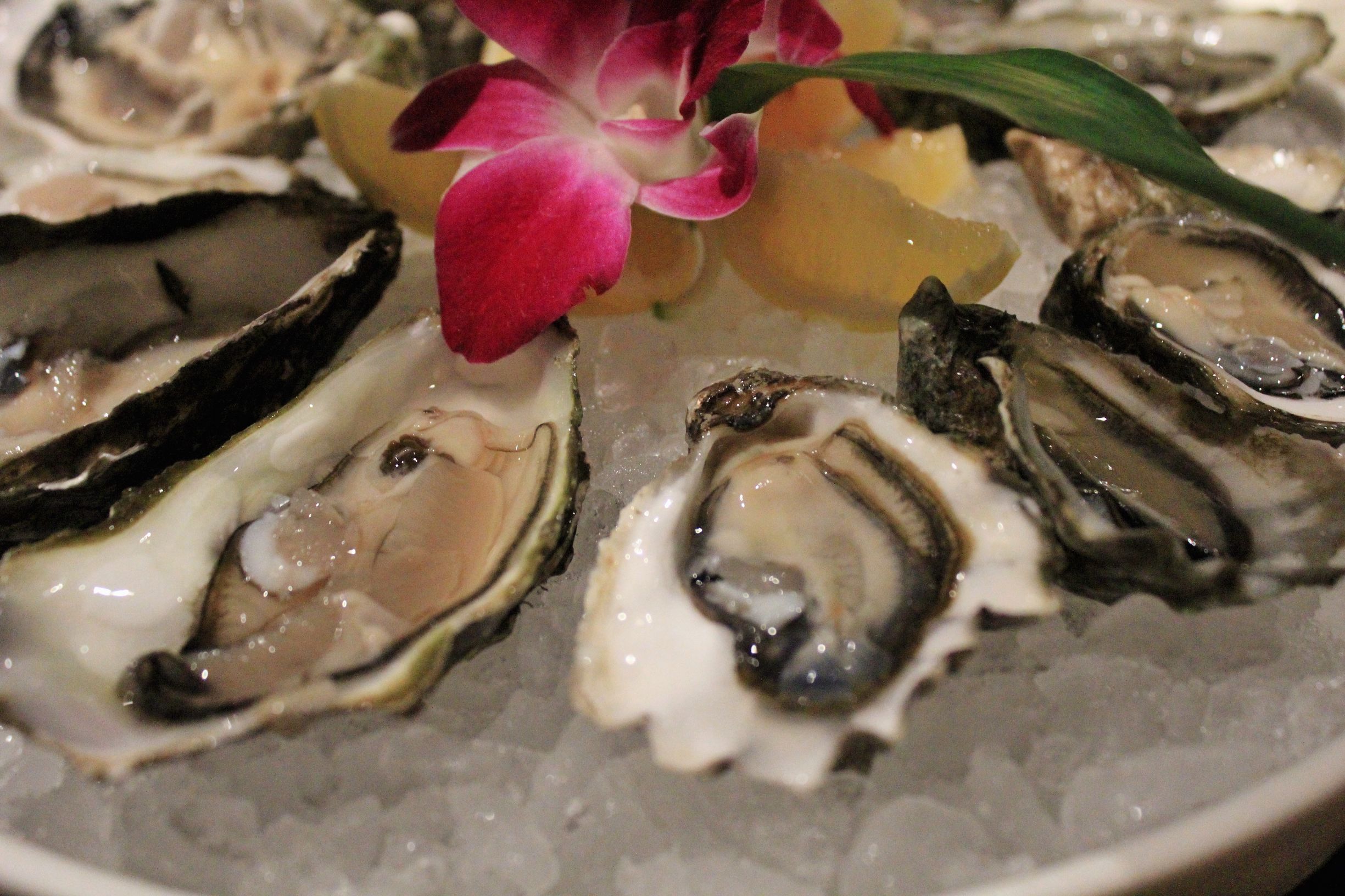 一入“蚝”门深似海，在南京LC把大海吃下去