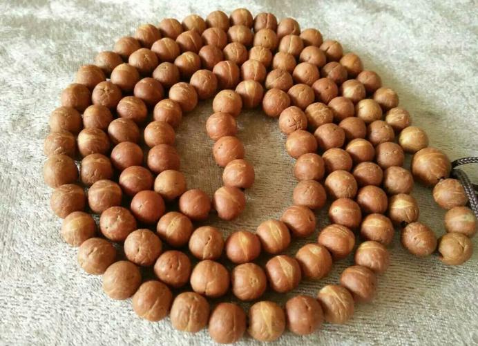 凤眼菩提值得一辈子盘玩吗,凤眼菩提对比龙眼菩提哪个好