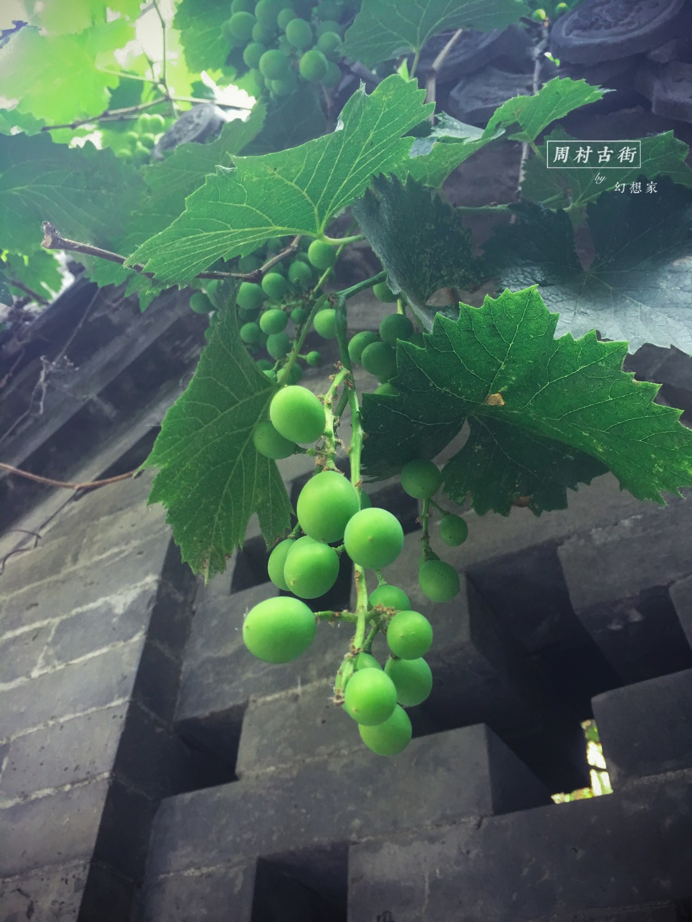 旅行日记青岛,旅行日记凯德mall店