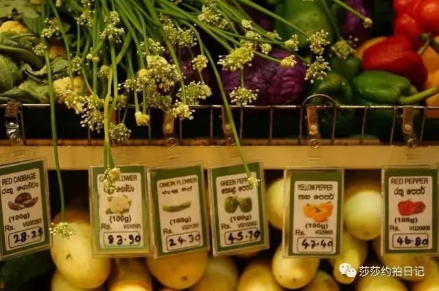 斯里兰卡旅游线路图高清,斯里兰卡自由行旅游攻略