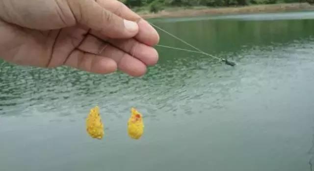 四海钓鱼大课堂读懂浮漂语言,四海钓鱼调漂视频