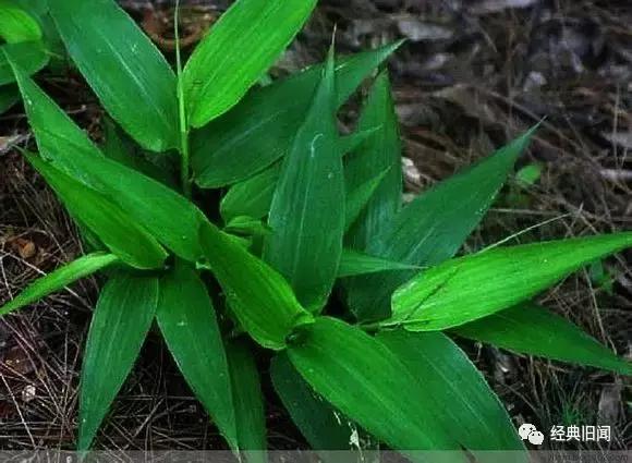 “大唐神药”又领衔滑胎路线，医生表示大写不服！