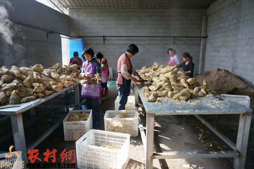 适合农村创业的小本生意,2017适合农民在家创业的项目