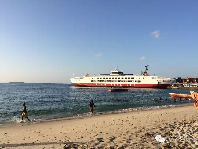 一生必去一次的非洲坦桑尼亚｜回归狂野