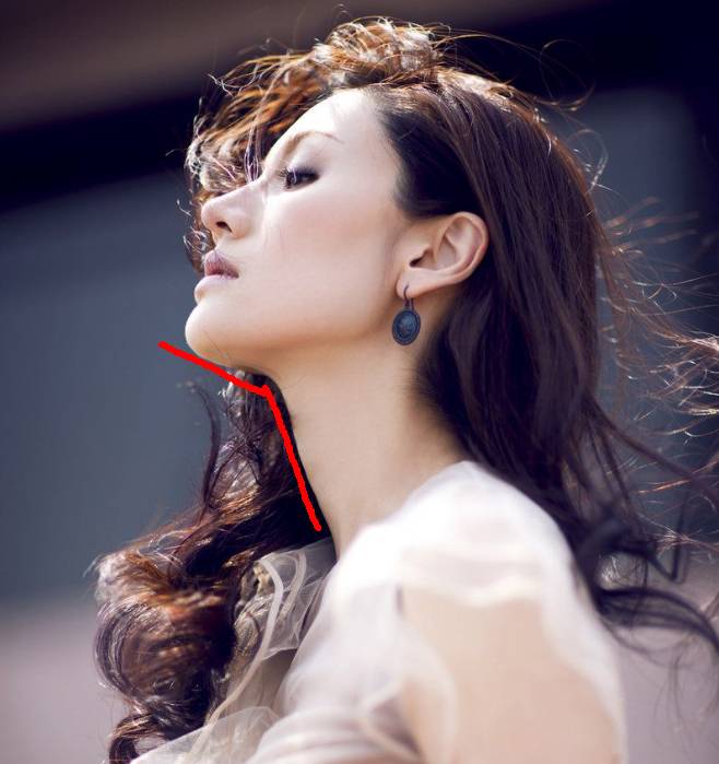 杨幂李菲儿,王鸥和李菲儿