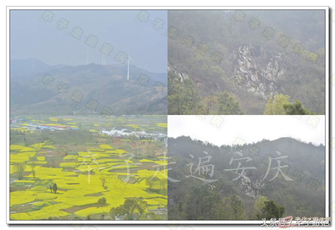 普陀寺的历史的介绍,普陀寺传说真实故事