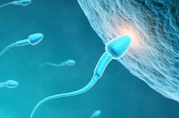 男性怎样备孕生娃的几率大一些,备孕如何提高受孕概率男生