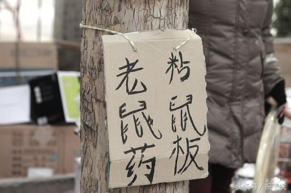 农村人对这几样东西，既记恨又离不开，经常折磨的不知咋办才好！