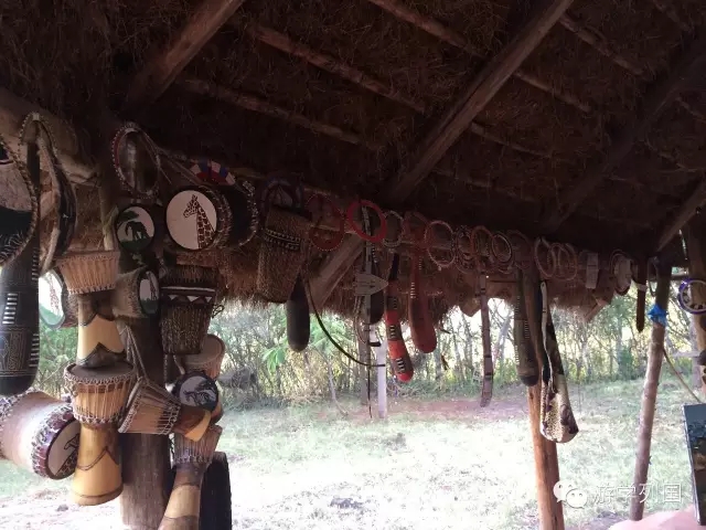 一生必去一次的非洲坦桑尼亚｜回归狂野