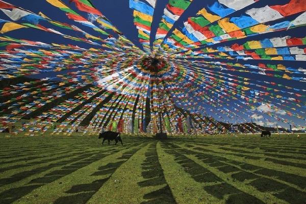 川藏线包车哪里找司机,四平川藏线自驾游包车
