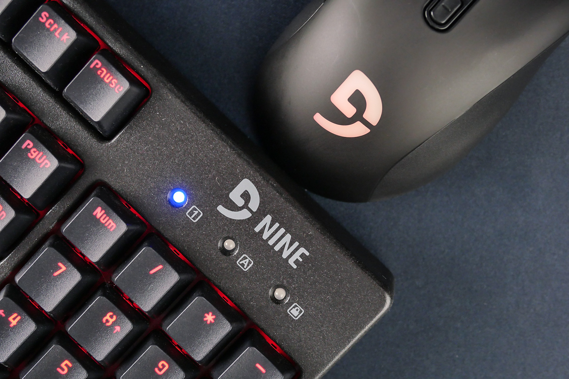 富勒系列,富勒新品