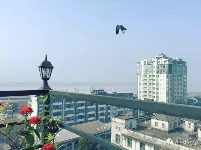 缅甸记忆之仰光 (缅甸之缘仰光初印象)