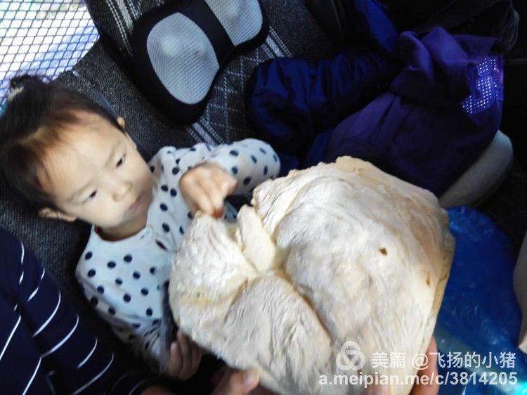 2018贝加尔湖自驾游,贝加尔湖畔自驾游全集