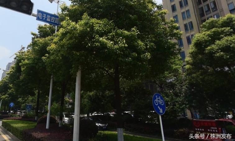 鏍床涓缓寰″北鍜岃嫅灏忓尯鍋滆溅,鏍床澶╁厓鍖哄尽灞卞拰闄笁鏈熷仠杞﹀満