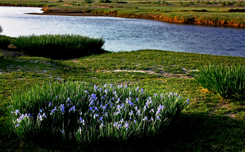 青海西部小城德令哈,德令哈一个安静的小城
