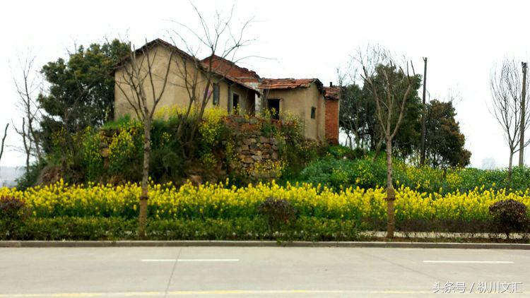 鏋炲窛灞辨按,鏋炲窛