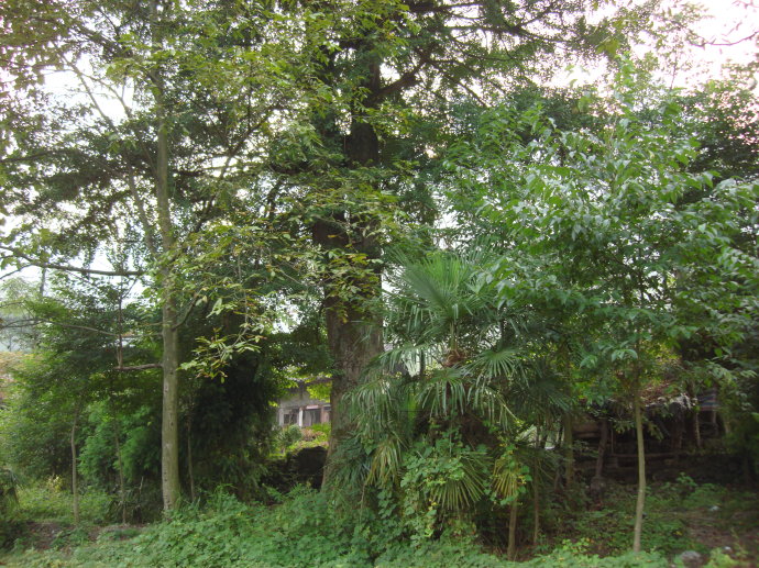 成都电影拍摄地打卡,重庆成都取景地