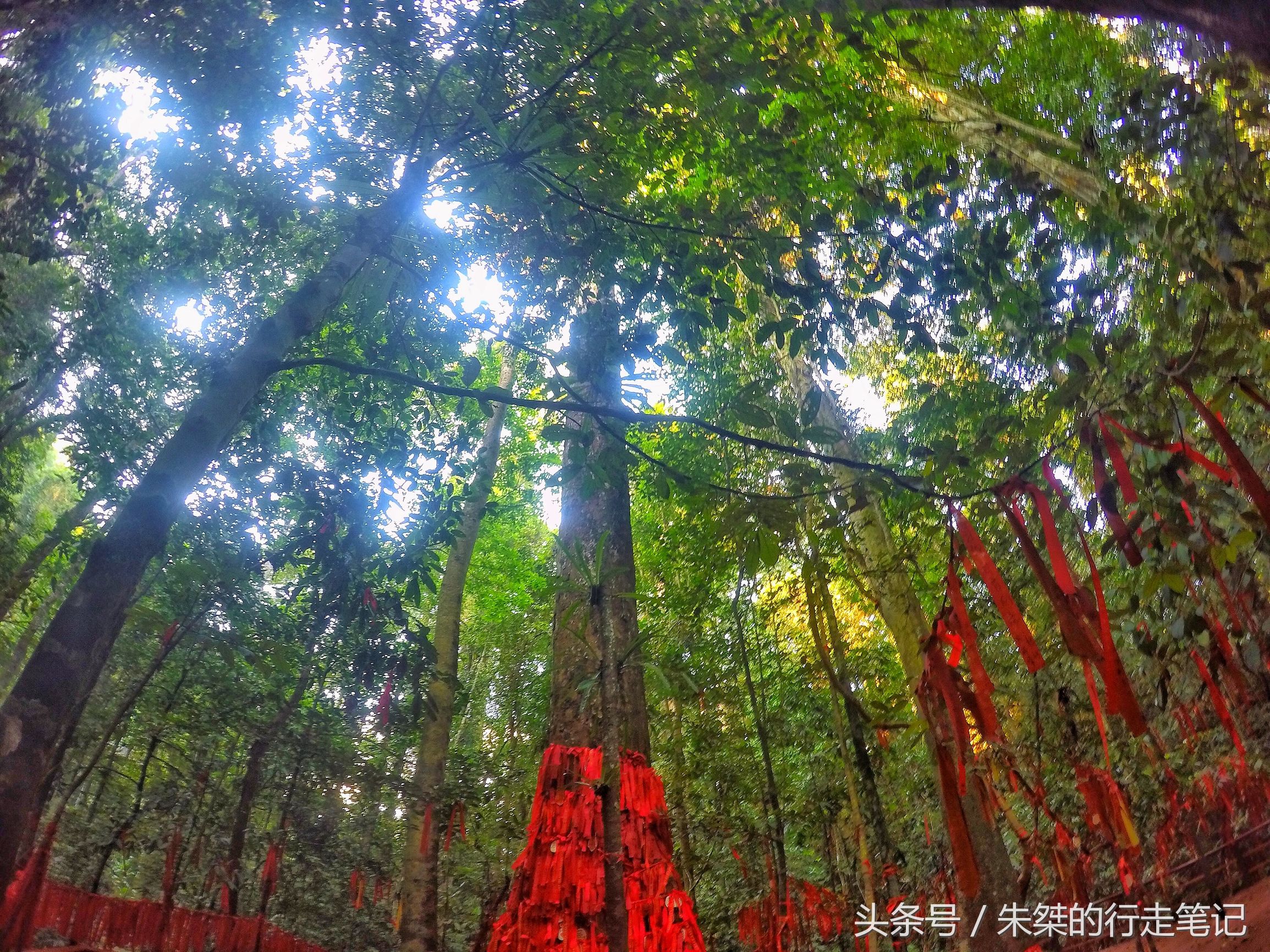 版纳颈椎治疗,西双版纳治疗颈椎好的按摩仪器