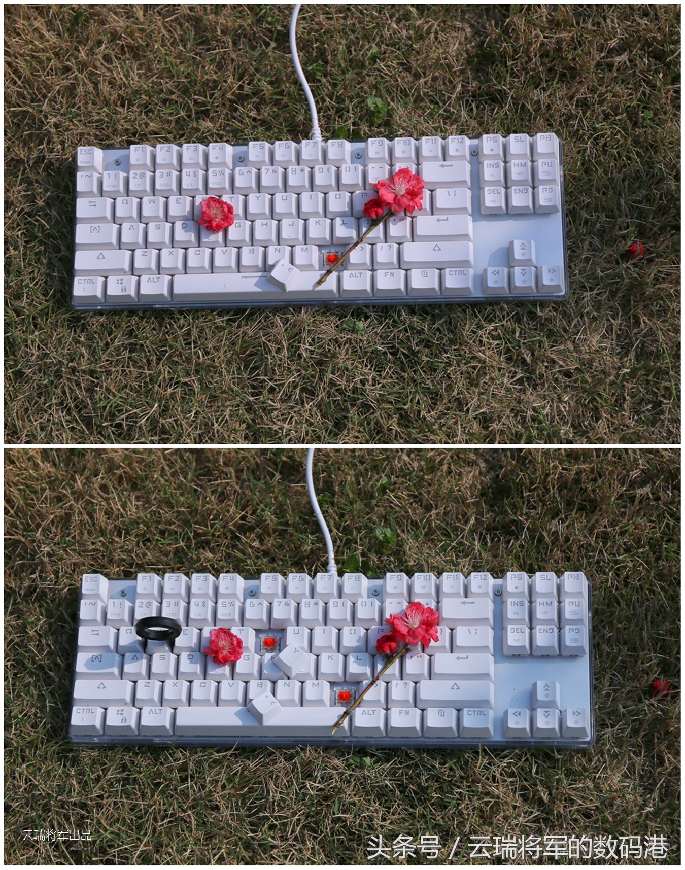 鎽╄惫閿洏k87s,鎽╄惫k87