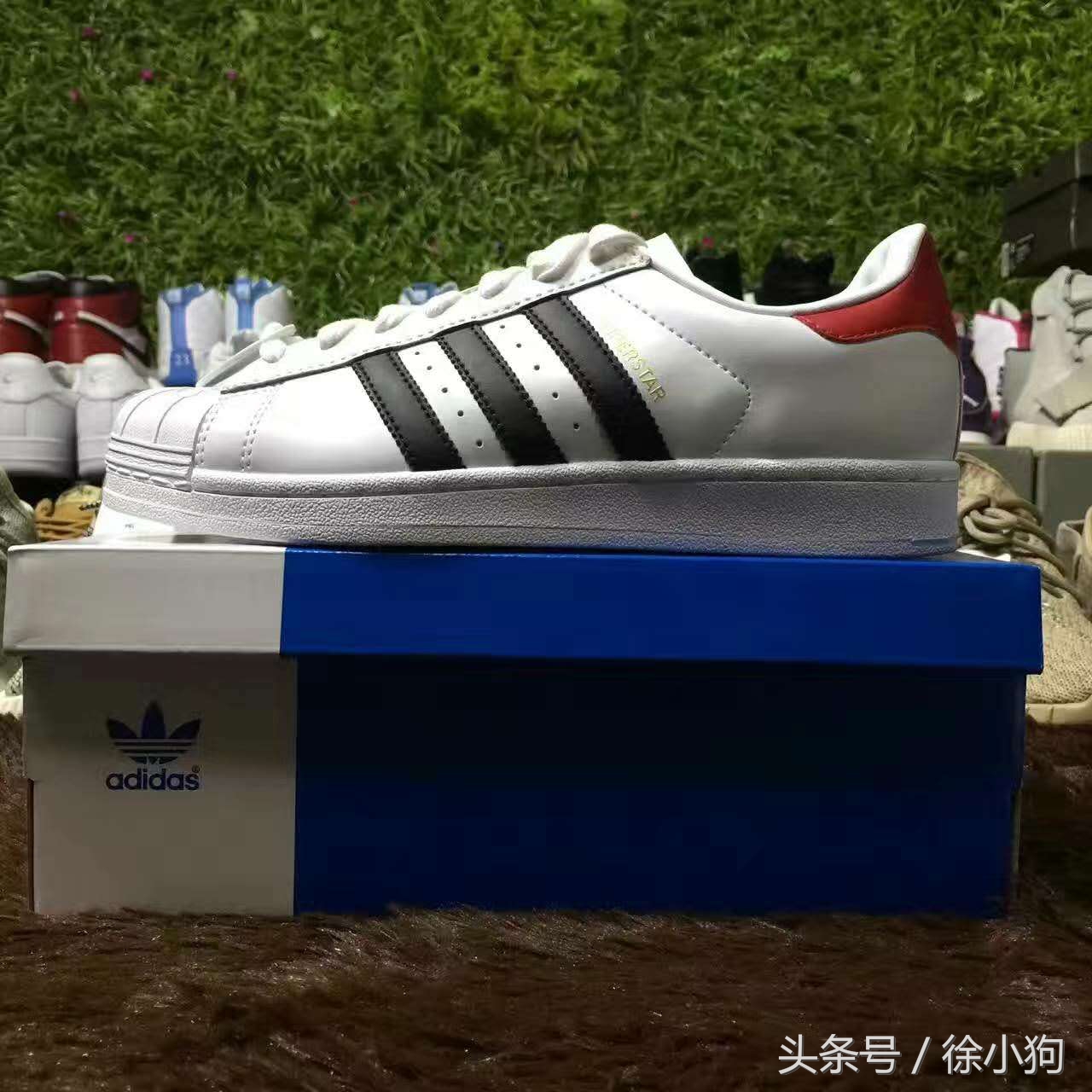 潮鞋阿迪耐克,adidas史密斯所有配色