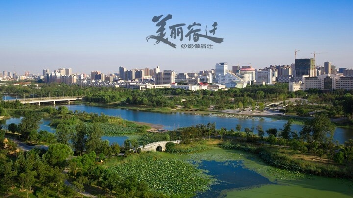 宿迁市三个县的排名,宿迁哪家牛价格最低