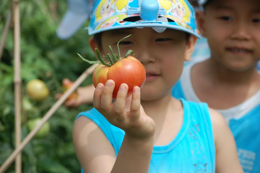 一家有自己农场的幼儿园,关于教育的思考(二)