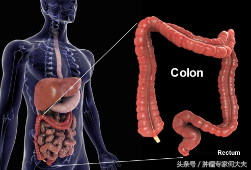 食管癌筛查与早诊早治指南,胃癌肠癌早期筛查