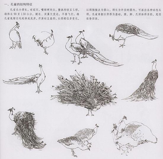 工笔花鸟国画背景的画法,中国国画几种虫儿的画法