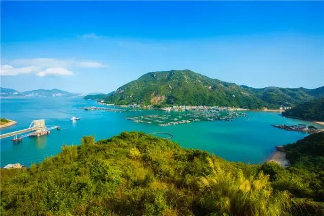 香港tvb的发展历程,香港tvb怀旧之旅