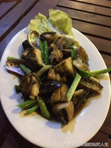 马来西亚亚庇到美人鱼岛,亚庇美人鱼岛游记