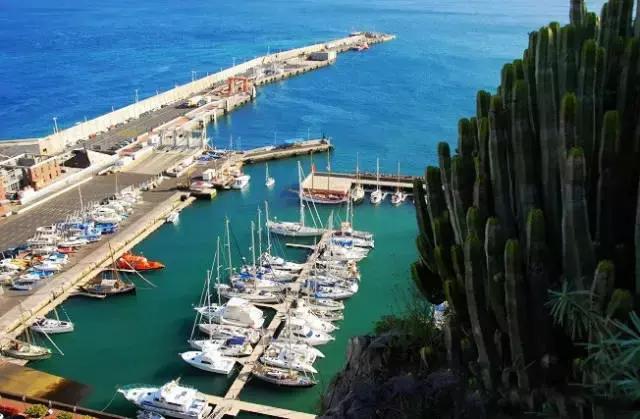 速八为什么突然火了,速八为什么有5个人