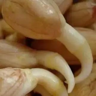 比牛奶鸡蛋还好的它稳血糖护心脏,牛奶对心脏和血管有利还是有害