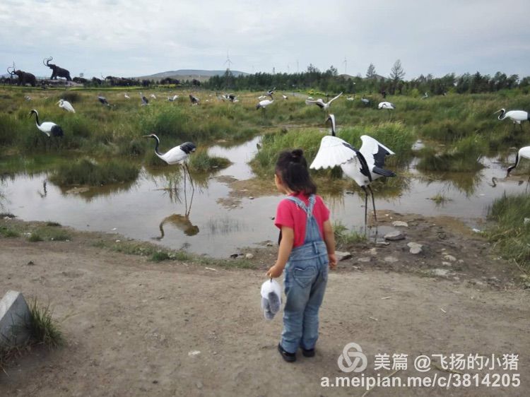 北京到贝加尔湖自驾游攻略,自驾游去贝加尔湖怎么走最好