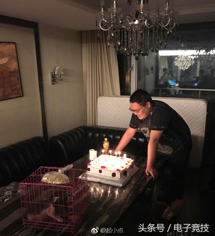 lolpdd主播视频,pdd过生日起小点送香猪