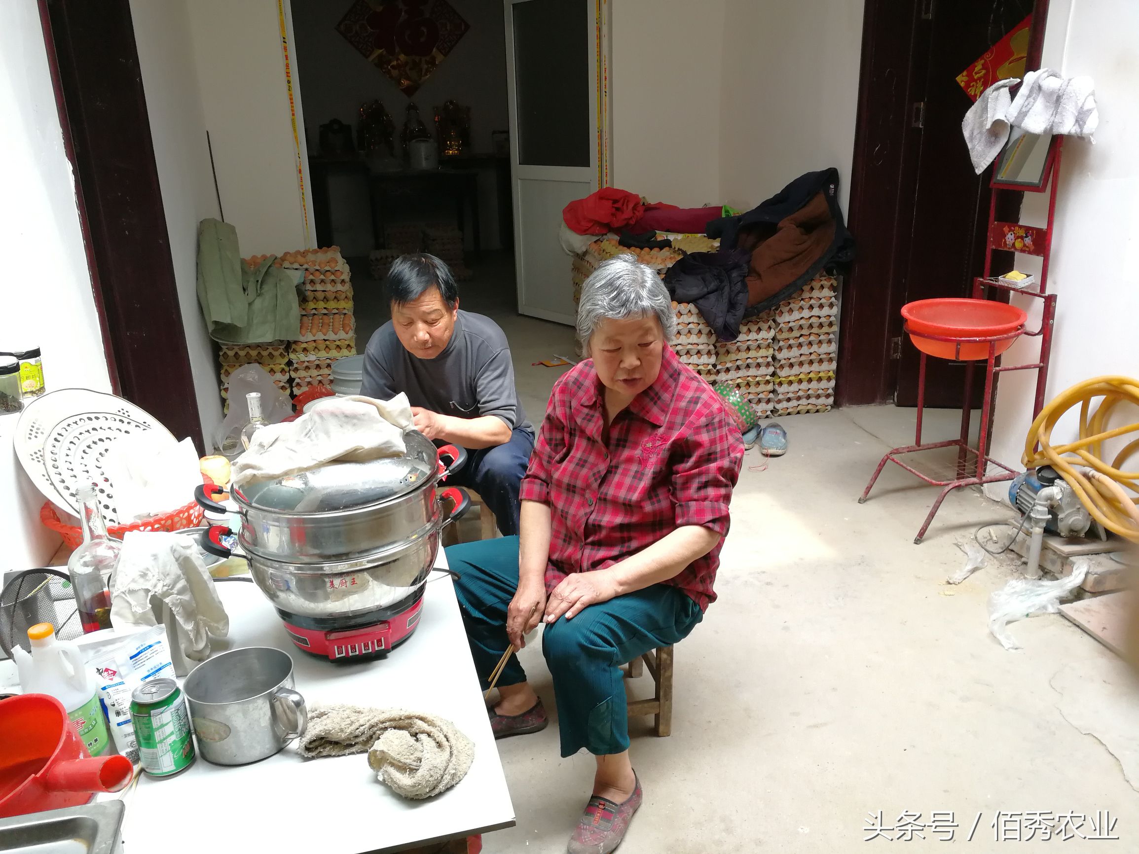 农民自制变蛋，一枚赚5分钱，你信吗？