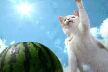 这广告打的我猝不及防,这广告打得我猝不及防什么意思