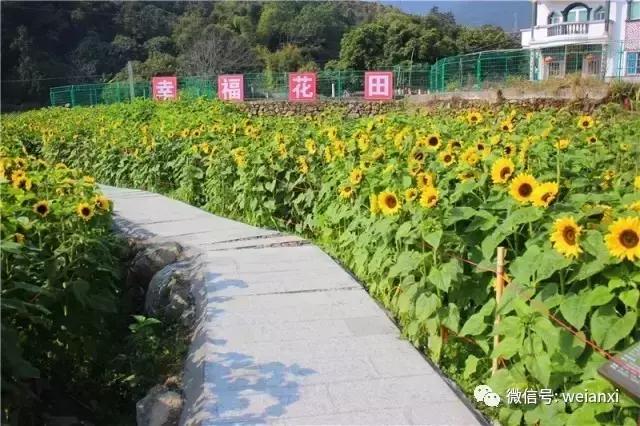 安溪最好看的风景,安溪哪个风景好