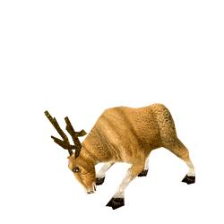 童话作文《封神榜》第N回：“四不像”幻变成小白兔后悟出了道理