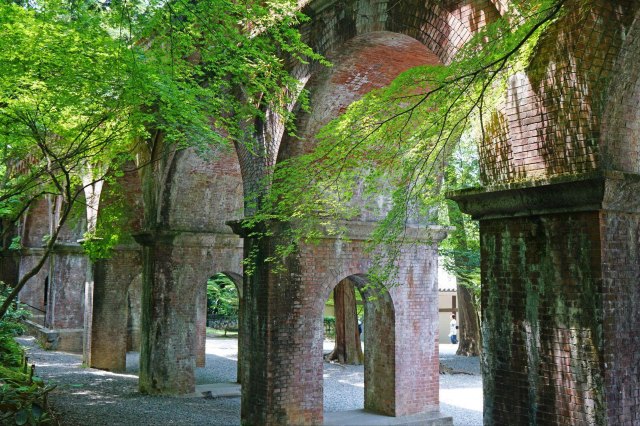 念念不忘必有回响日语,念念不忘必有回响再次相见