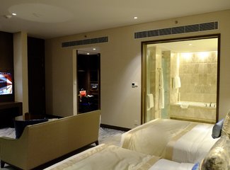 与日本冬天不期而遇在哪,与日本冬天不期而遇后续