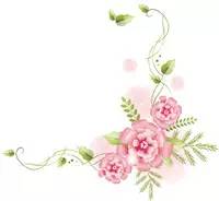 玻璃滑道断裂游客险坠落后续,景区玻璃栈道发生事故