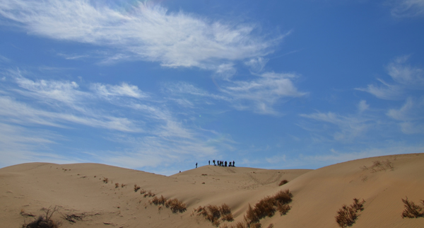 自由穿梭极简生活:Toread探路者Travelax商旅尊享版背包体验